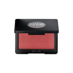 POEDER ARTIST FACE BLUSH 23  4G  300