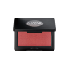 POUDRE ARTIST FACE BLUSH