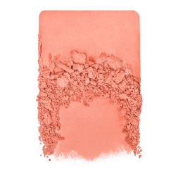 POUDRE ARTIST FACE BLUSH