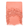 POUDRE ARTIST FACE BLUSH